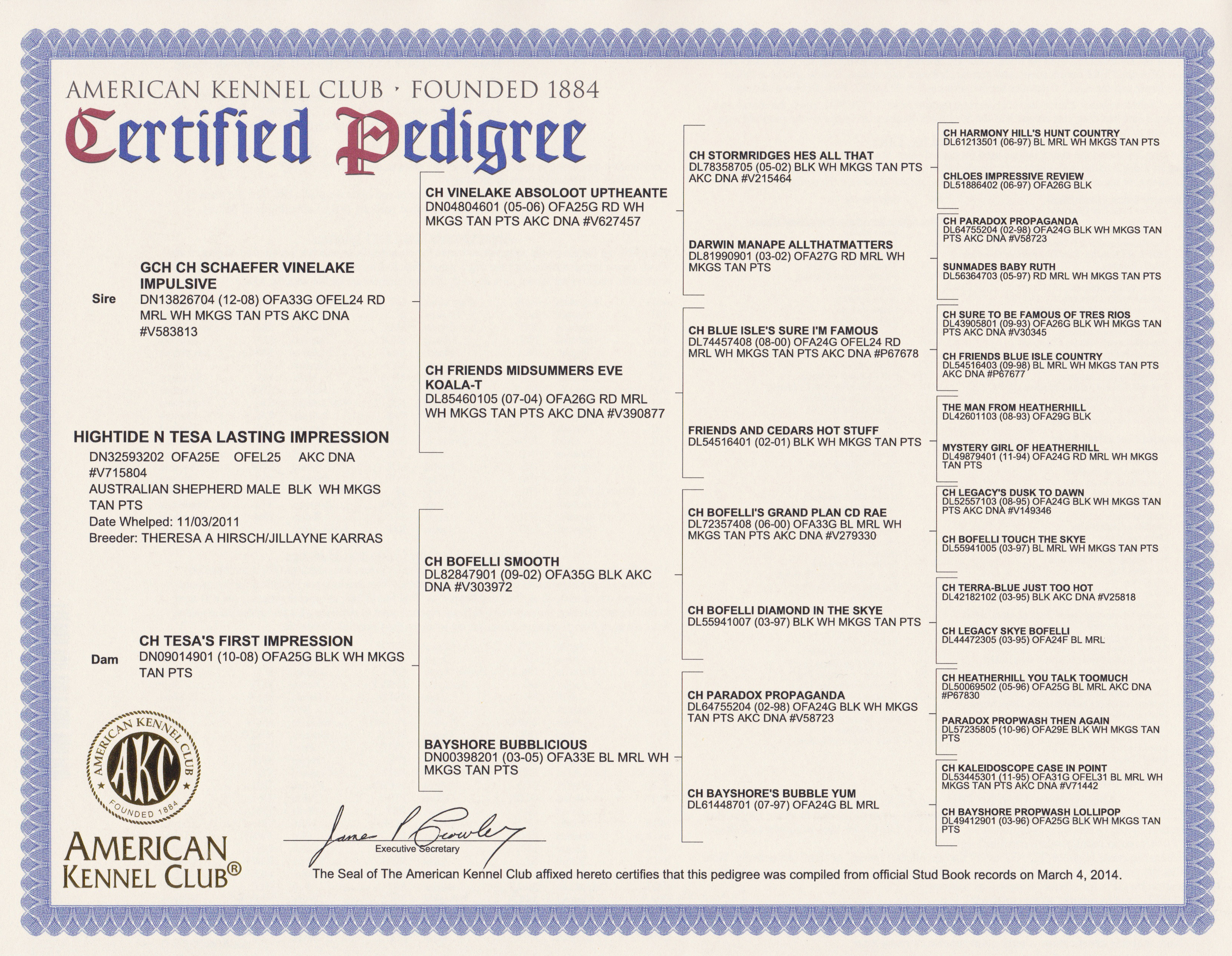 American Kennel Club Certificate 2025